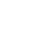 Loading Logo